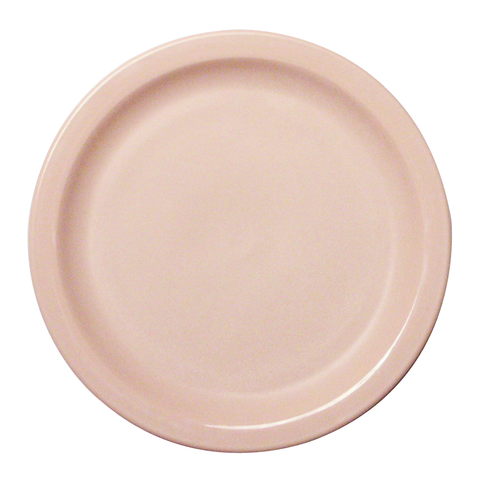 NDP 9 Dinner Plate